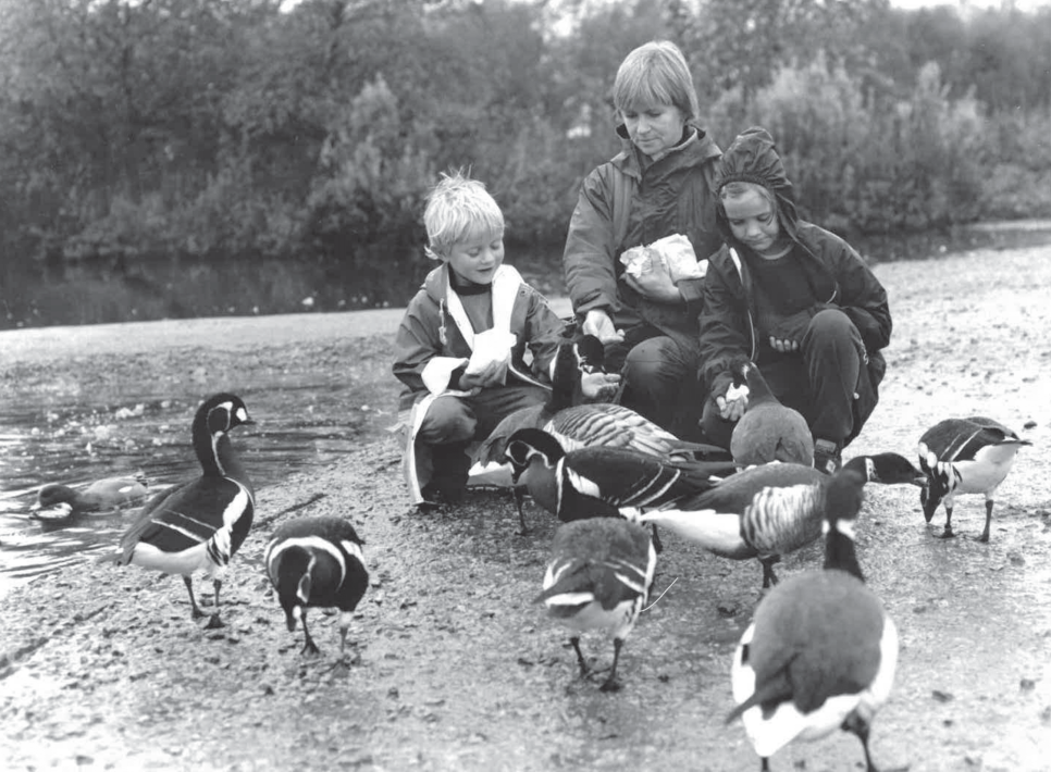 Lancashire’s WWT Martin Mere is turning 50!